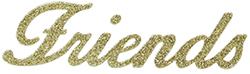 64004-035-FRNDS